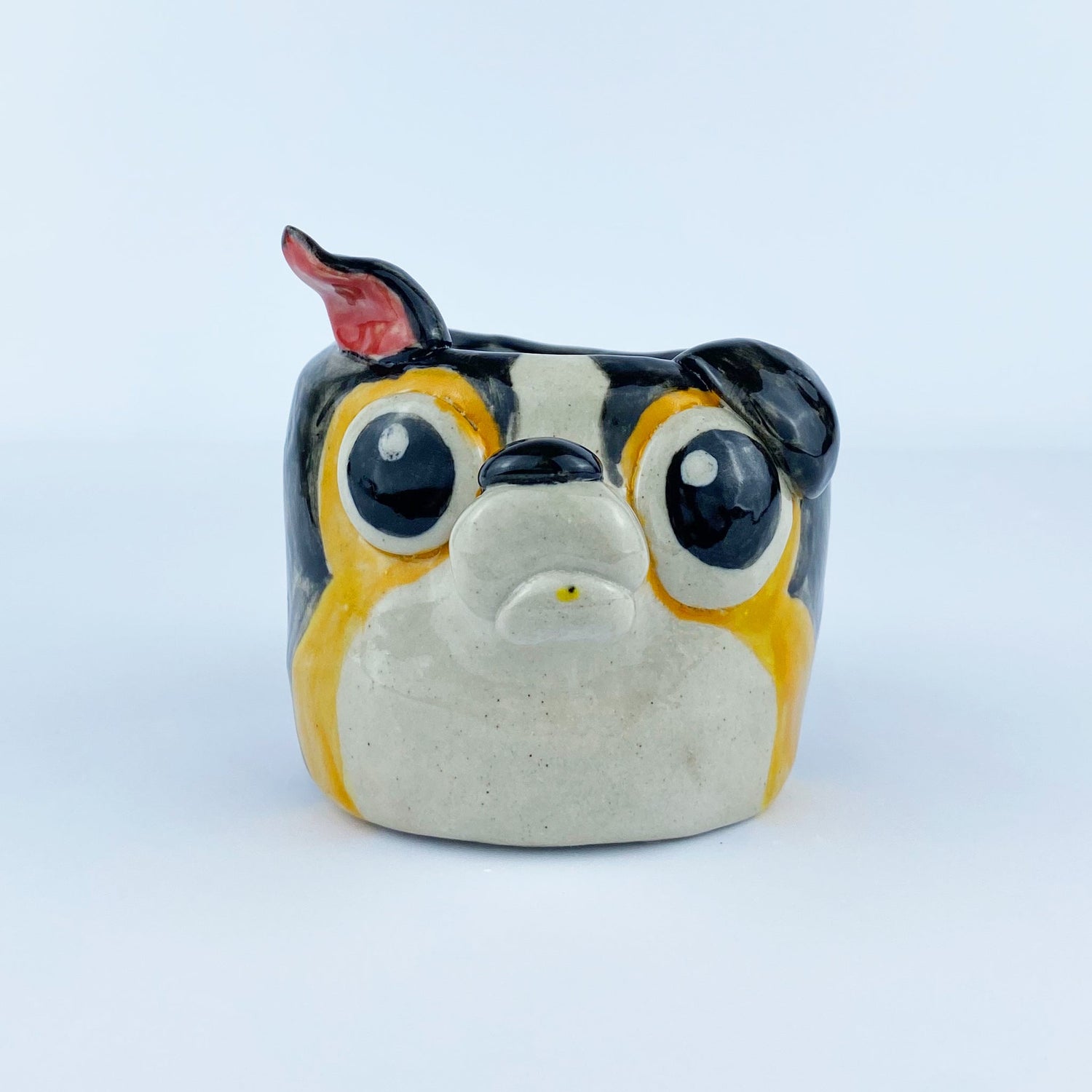 Dog And Cat Collection